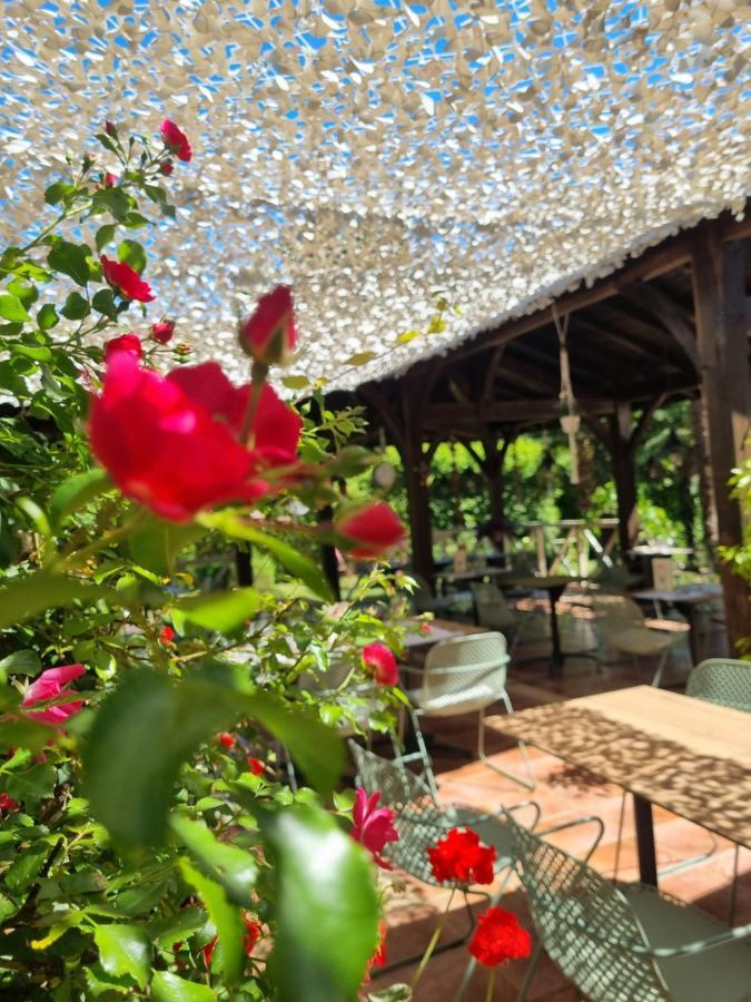 Hotel Restaurant Du Commerce Estang エクステリア 写真